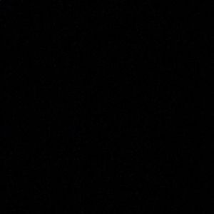 Meet your Posher, Mavrick